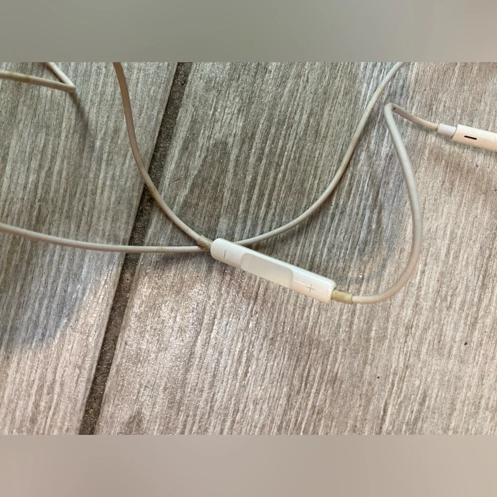 Apple EarPods with Lightning Connector